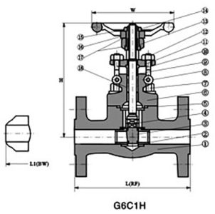 Flanged-End-Gate-Valve-1.jpg
