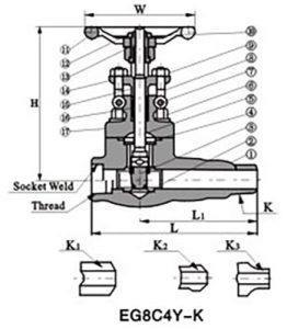 Forged-Steel-Extended-Body-Valve-1.jpg