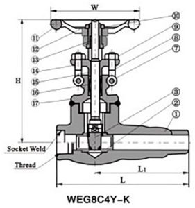 Forged-Steel-Extended-Body-Valve-2.jpg